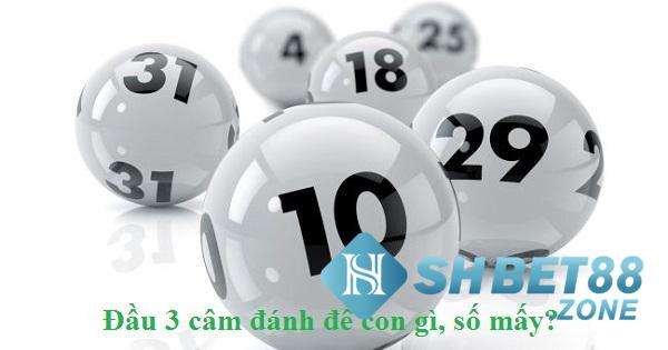 Lô đầu 3 câm đánh con gì? Phương tính tính lô chuẩn xác 4 Phương pháp chơi lô đề đầu câm là gì?