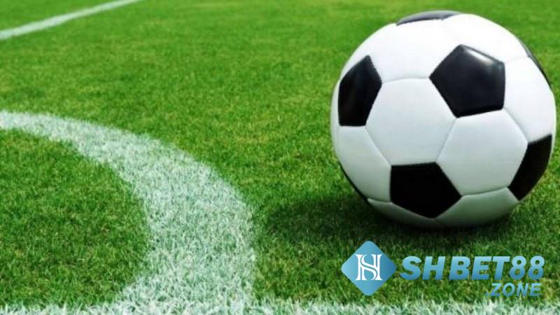 Kèo chấp 1/2 là như thế nào? Kỹ năng quan trọng chơi kèo 1/2 5 Giải thích kèo chấp 1/2 là thế nào?