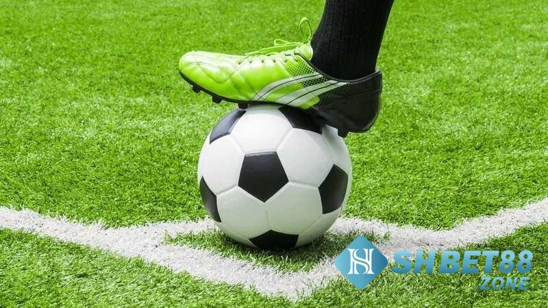 Kèo chấp 1 1/4 có nghĩa là gì? Cách chơi ra sao? 8 Chơi kèo chấp 1 1/4 tại Shbet rất đa dạng