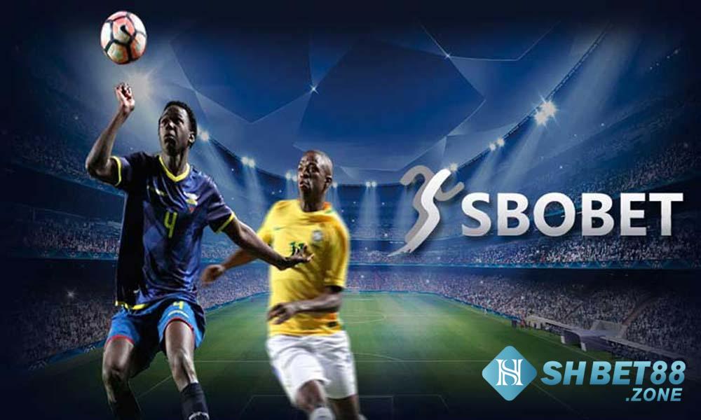 Sbobet Shbet - Sảnh cá cược thể thao hấp dẫn cho cược thủ 4 Sảnh Sbobet Shbet là gì? Vì sao nên chọn cá cược tại Sbobet Shbet?