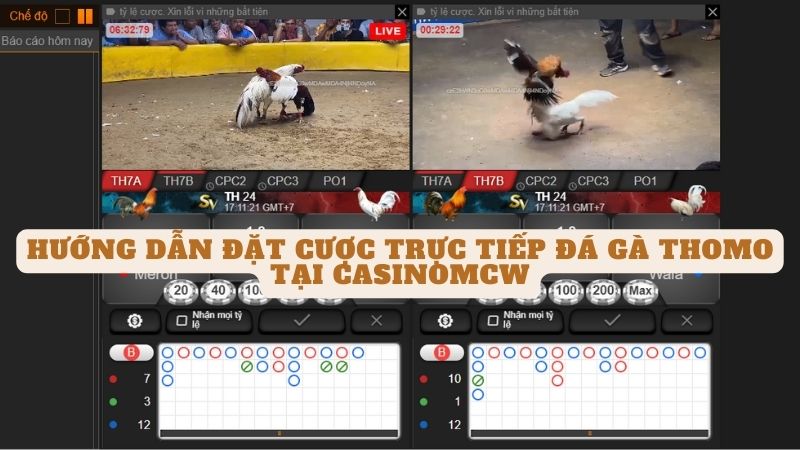 Casinomcw - Trang Web Xem Trực Tiếp Đá Gà Thomo Đỉnh Cao Tại Việt Nam 10 Hướng dẫn đặt cược trực tiếp đá gà thomo tại casinomcw