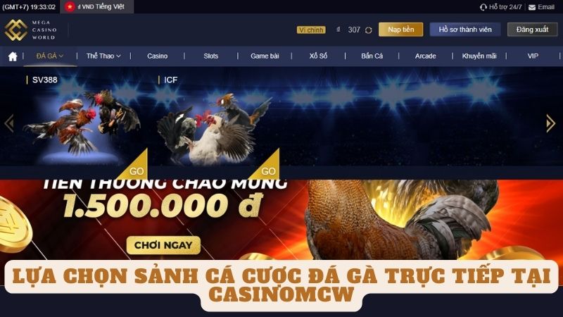 Casinomcw - Trang Web Xem Trực Tiếp Đá Gà Thomo Đỉnh Cao Tại Việt Nam 9 Lựa chọn sảnh cá cược đá gà trực tiếp tại casinomcw