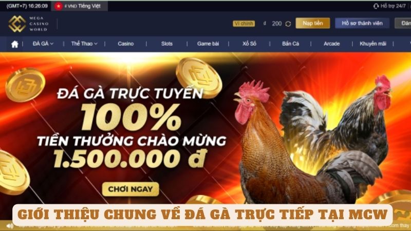 Đá Gà Trực Tiếp Tại Mcw - Trải Nghiệm Cá Cược Độc Đáo 8 Giới thiệu chung về đá gà trực tiếp tại mcw